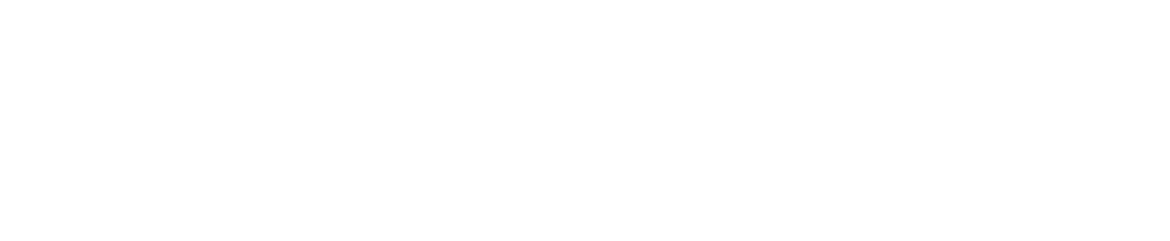 秦讯智芯 Logo